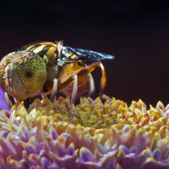 "God's Amazing Handiwork" stock image