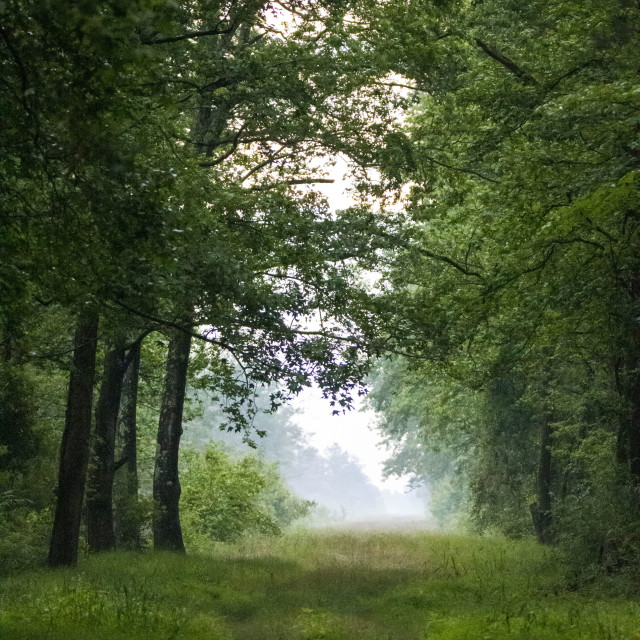 "Road to Heaven" stock image