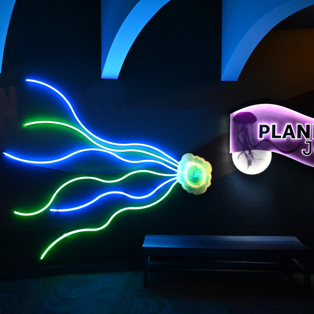 "Planet Jellies" by www.nishantdavid.ca - $16.51 "Planet Jellies" stock image