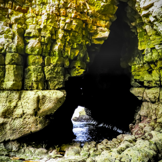 "Rock arch, Thornwick Bay" stock image