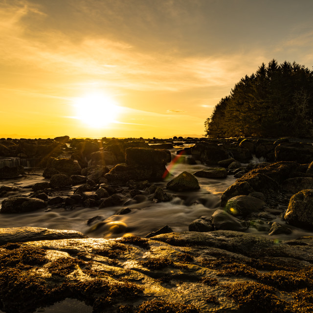 "Sunrise At The River" stock image