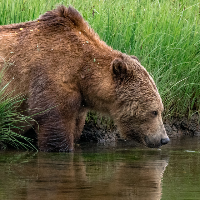 "Time For A Drink" stock image