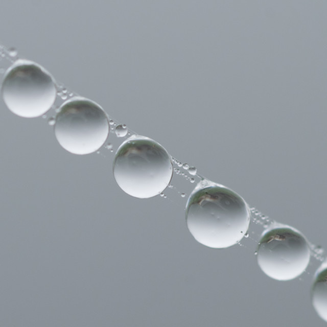 "Water Drops" stock image