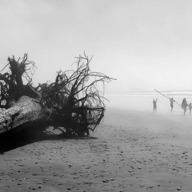 "A Family Walks on a Misty Beach in Washington state" stock image