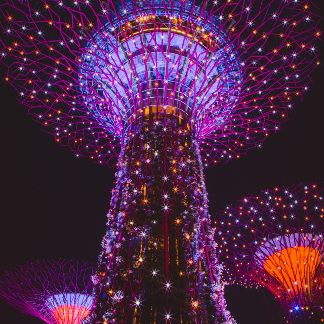 "Singapore Supertree" by Warren - £20.00 "Singapore Supertree" stock image
