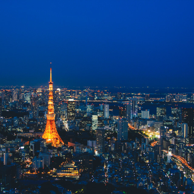 "Tokyo Skyline" by Warren - £20.00 "Tokyo Skyline" stock image