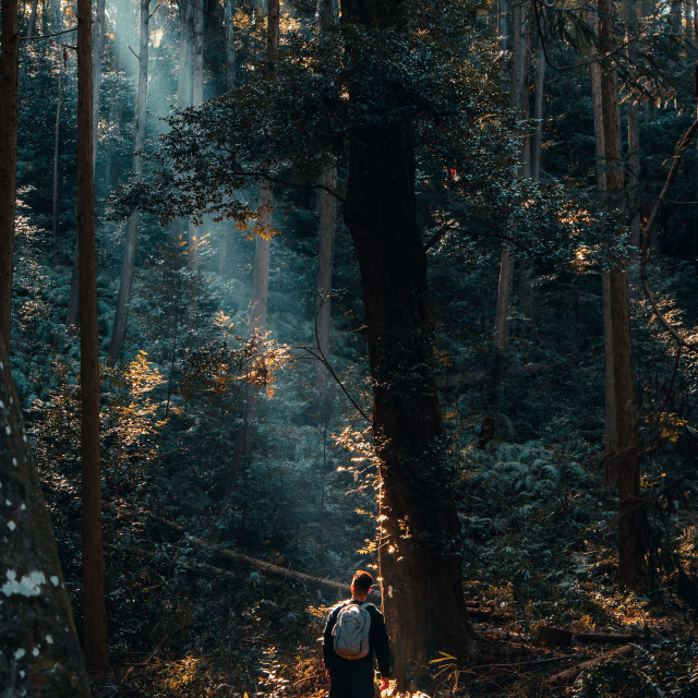 "See The Light" by Warren - £20.00 "See The Light" stock image