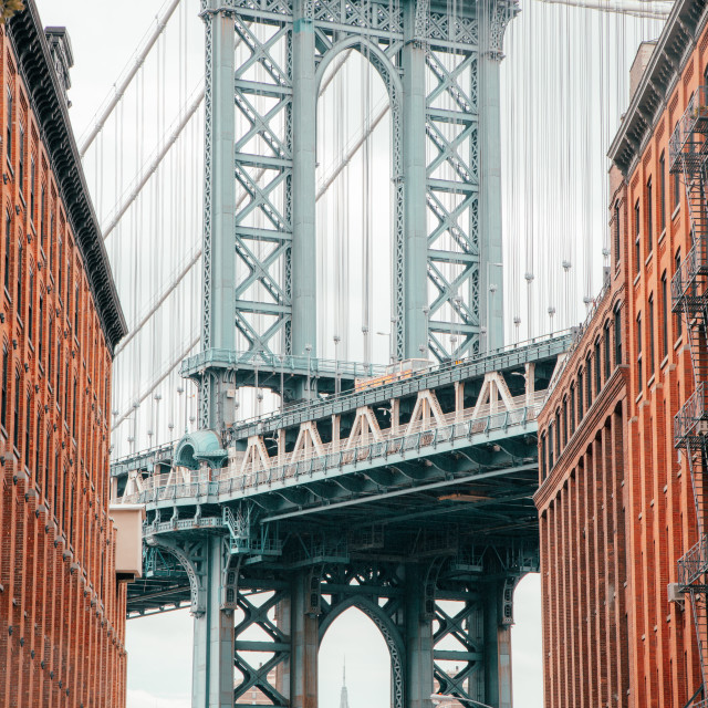 "Brooklyn" by Warren - £20.00 "Brooklyn" stock image