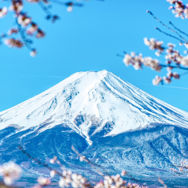 "Mount Fuji" by Warren - £20.00 "Mount Fuji" stock image