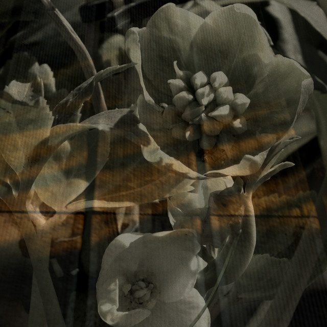 "A shimmer of Light" by Rudolf Reinbacher - £15.00 "A shimmer of Light" stock image