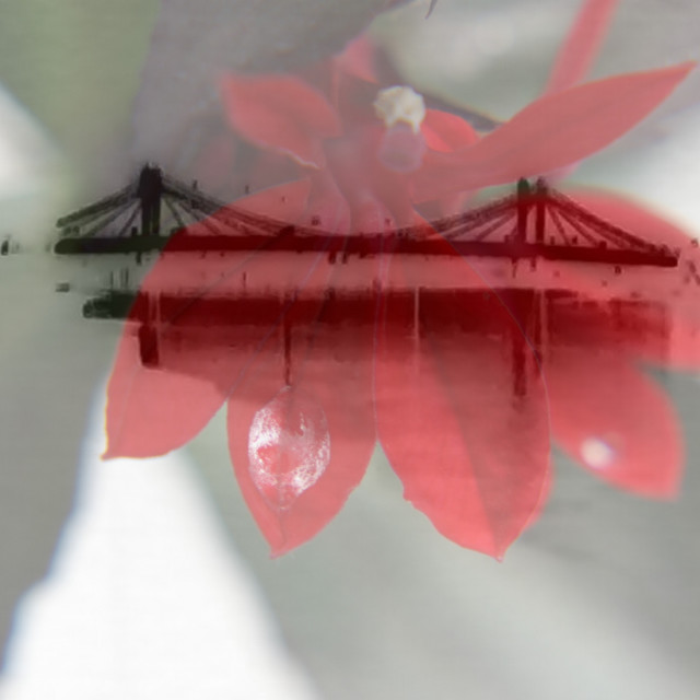 "Flower-bridge" by Rudolf Reinbacher - £25.00 "Flower-bridge" stock image