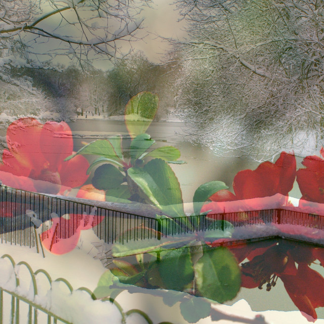 "Winter park" by Rudolf Reinbacher - £15.00 "Winter park" stock image