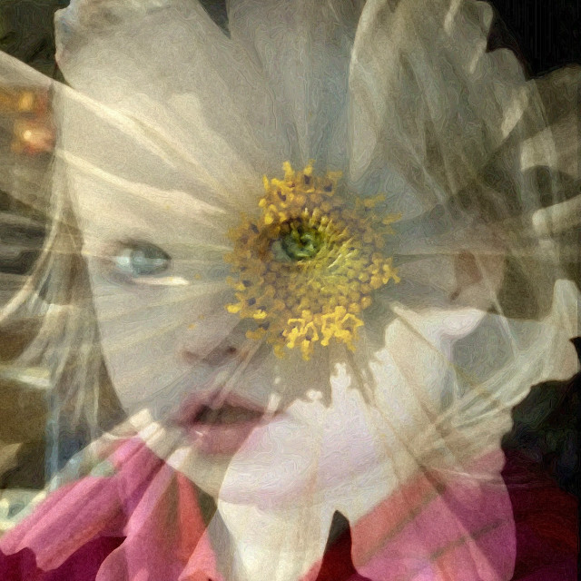 "Fairy-princess" by Rudolf Reinbacher - £30.00 "Fairy-princess" stock image