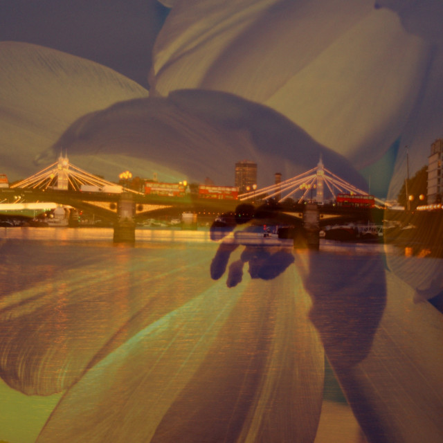"Battersea & Albert bridge" by Rudolf Reinbacher - £18.00 "Battersea & Albert bridge" stock image