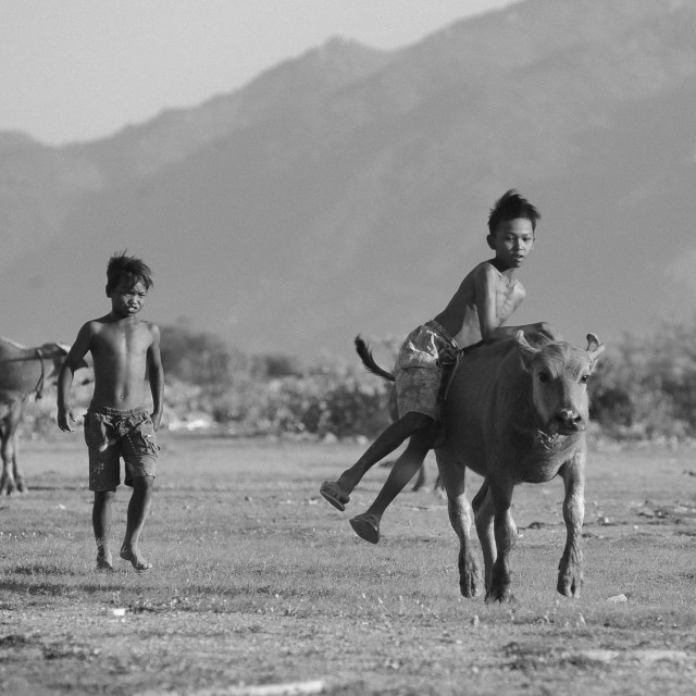 "RIDE THE BUFFALO" stock image