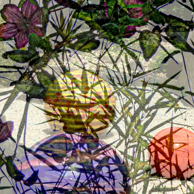 "'Glass-clematis'" by Rudolf Reinbacher - £15.00 "'Glass-clematis'" stock image