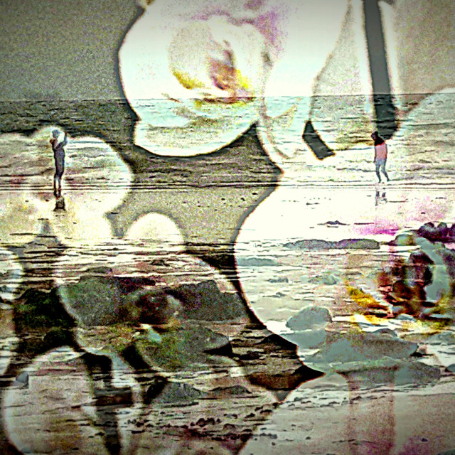 "Orchid low tide" by Rudolf Reinbacher - £15.00 "Orchid low tide" stock image