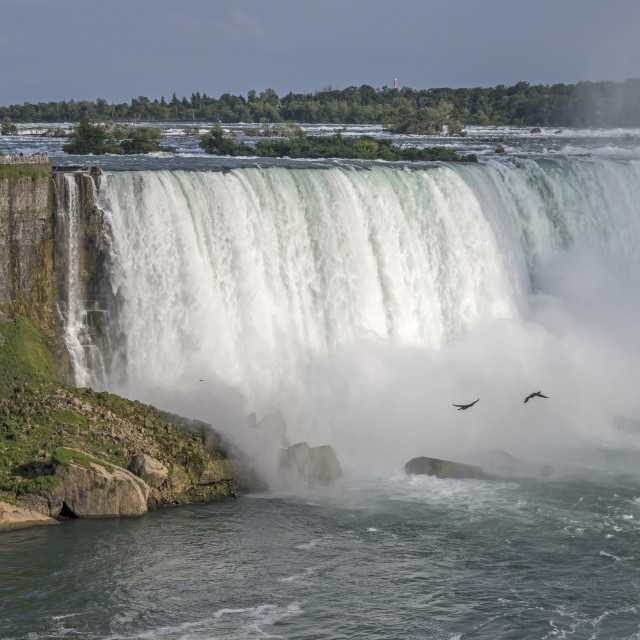 "The Niagara Falls" stock image