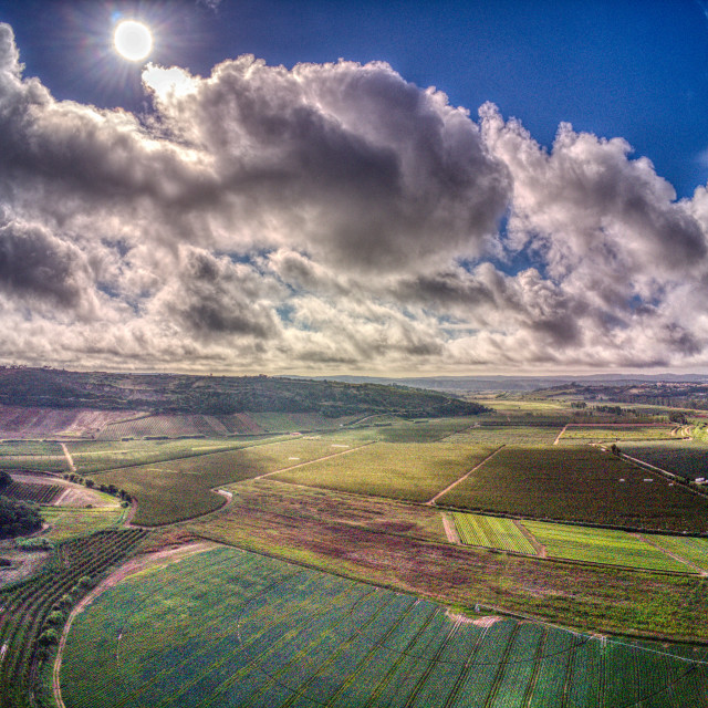 "Landsacpe Field aerial view" stock image