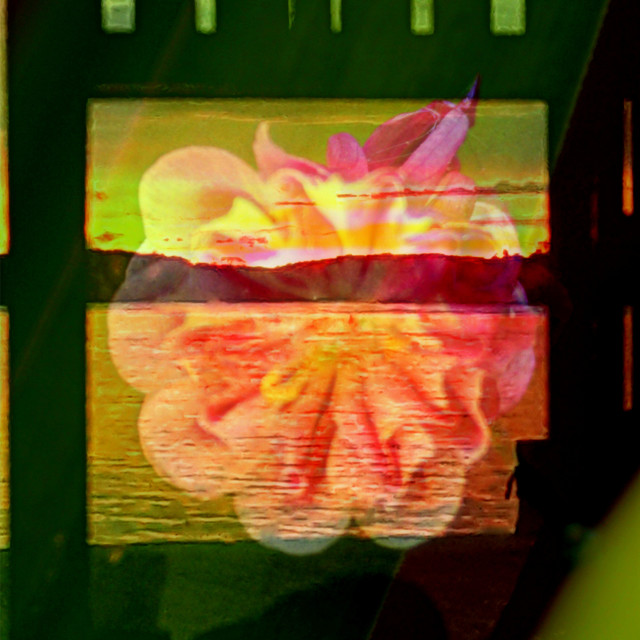 "Flower lantern" by Rudolf Reinbacher - £15.00 "Flower lantern" stock image