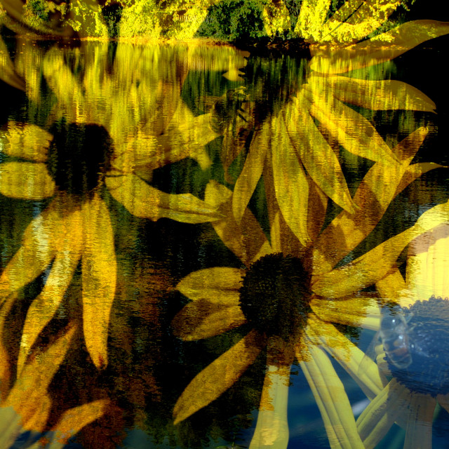 "Yellow reflection" by Rudolf Reinbacher - £15.00 "Yellow reflection" stock image