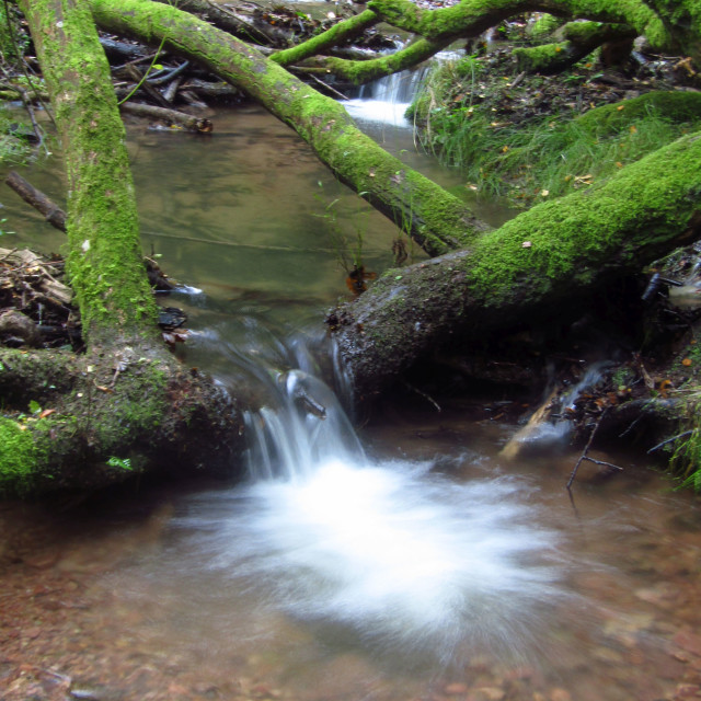 "Stream in the Quantock Hills" stock image