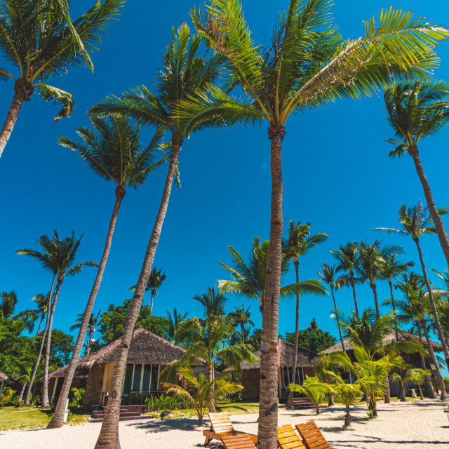 "Relaxing Sun Loungers At A Luxury Resort - Bantayan, Philippines, Asia" by Lewis Fink - £10.00 "Relaxing Sun Loungers At A Luxury Resort - Bantayan, Philippines, Asia" stock image