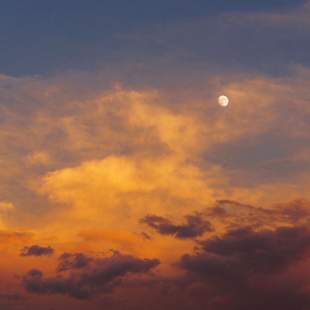 "Moonrise Sunset" by Caymin Hannan - £8.00 "Moonrise Sunset" stock image