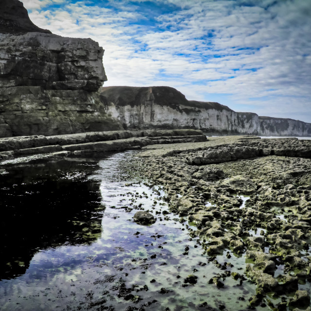 "Bempton Cliffs" stock image