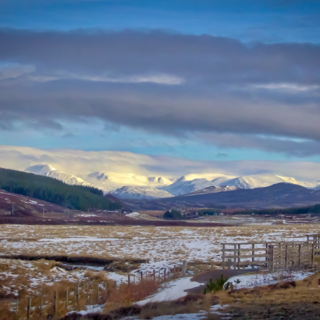 "Winter in the Cairngorms" stock image