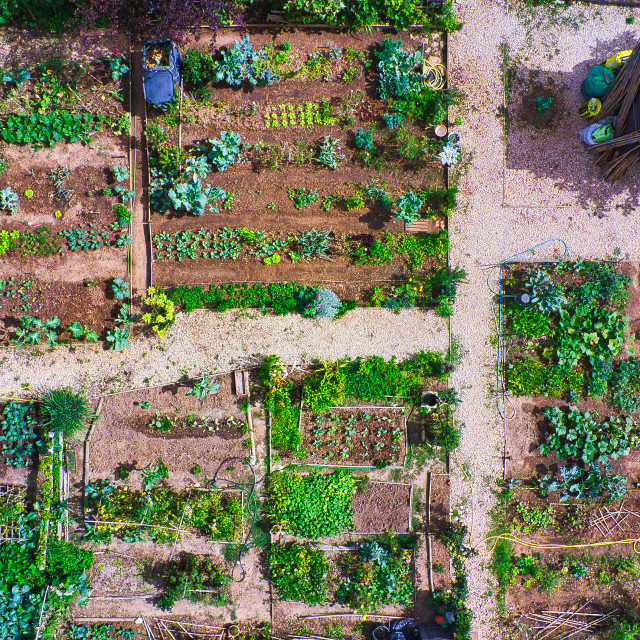 "Organic Farming View from above" stock image