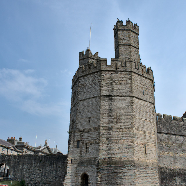 "Caernarfon Castle" stock image