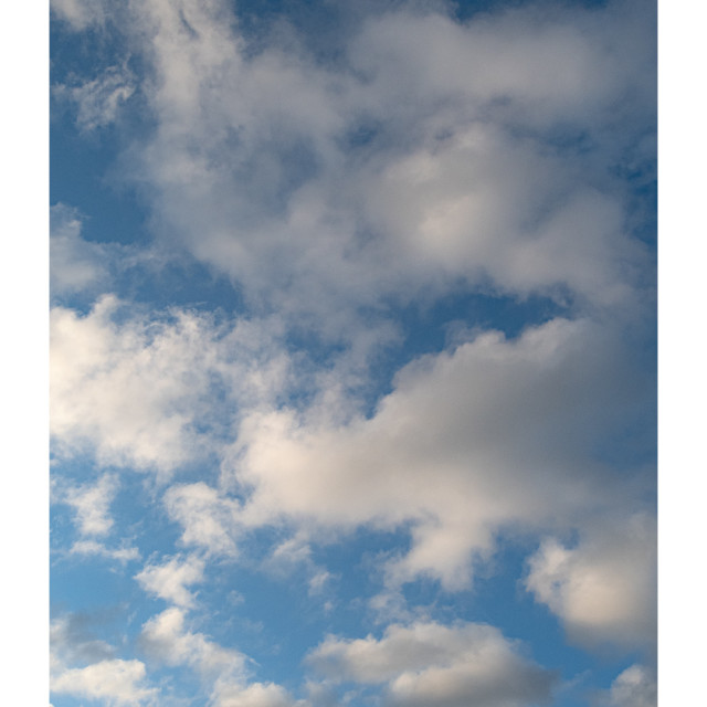 "too early" by Works By Willow - $15.24 "too early" stock image