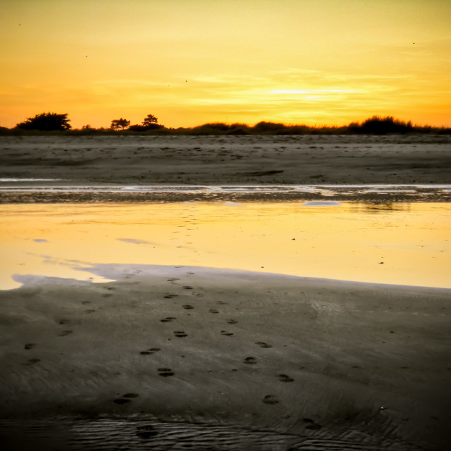 "Footprints in the sand. Skegness." stock image