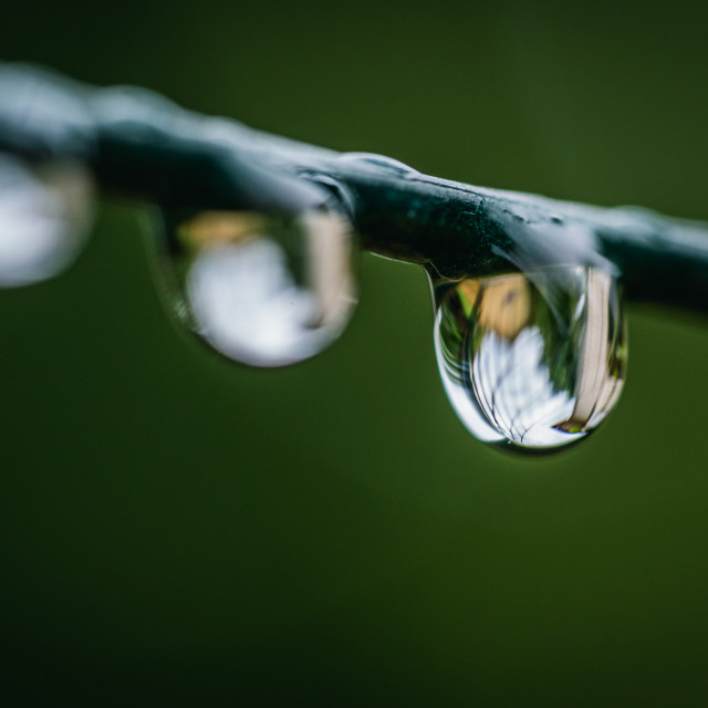 "Water Drops on a Wire Fence" by Justin Mueller - £10.00 "Water Drops on a Wire Fence" stock image