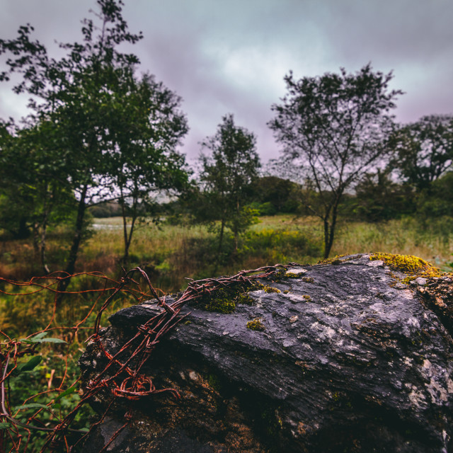 "Broken Down Fence in Western Ireland" by Justin Mueller - £10.00 "Broken Down Fence in Western Ireland" stock image