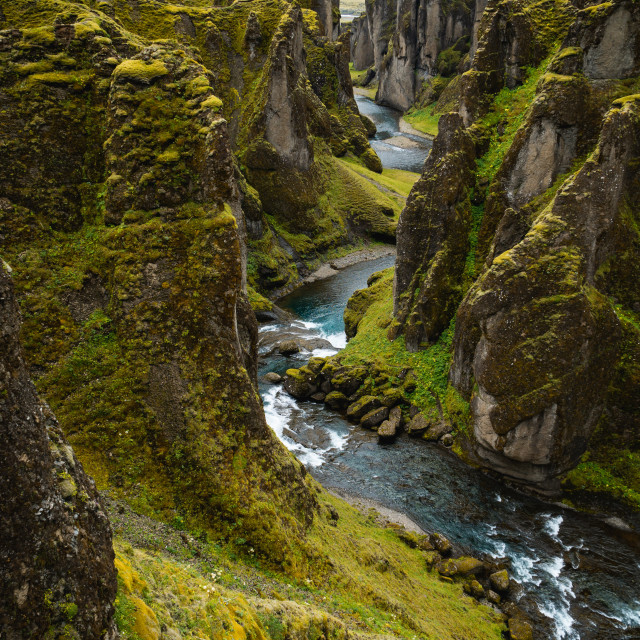 "Fjaðrárgljúfur, Mossy Icelandic Canyon" by Justin Mueller - £10.00 "Fjaðrárgljúfur, Mossy Icelandic Canyon" stock image