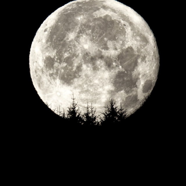 "Full Moon over Ardullie" stock image