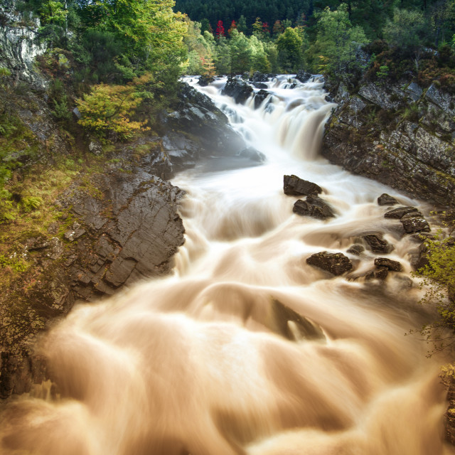 "Rogie Falls in Autumn - Golden Colours" stock image