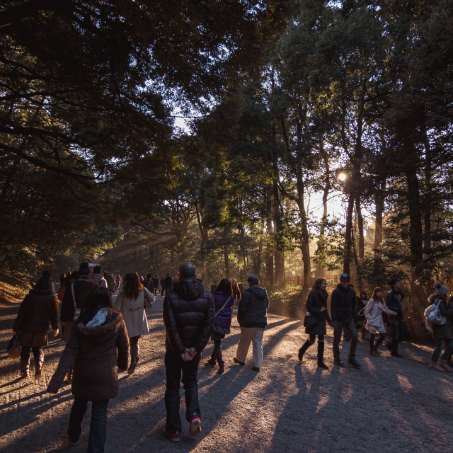 "Sunlight Beaming On People Walking into Meiji Shrine in Tokyo Ja" by Justin Mueller - £10.00 "Sunlight Beaming On People Walking into Meiji Shrine in Tokyo Ja" stock image