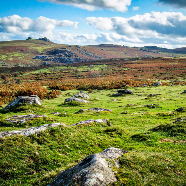 "Dartmoor National Park" stock image