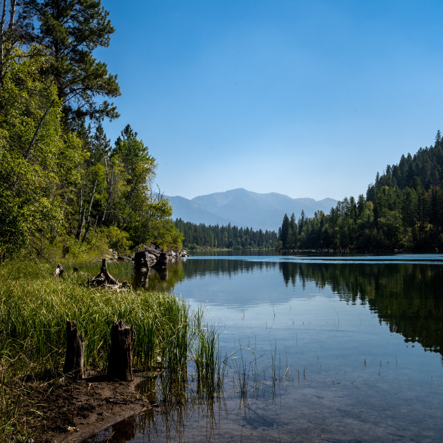 "Reflection of Forested Mountains Across a Calm Lake in Montana" by Justin Mueller - £10.00 "Reflection of Forested Mountains Across a Calm Lake in Montana" stock image