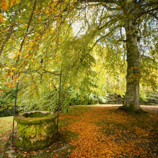 "Autumn is Coming - Scottish Highlands" stock image