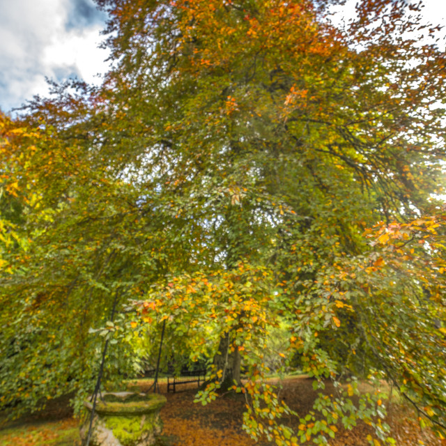 "Autumn is Coming (Again)" stock image