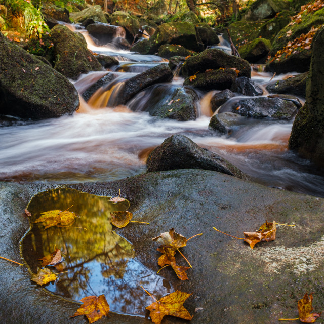 "Autumn Reflections" stock image