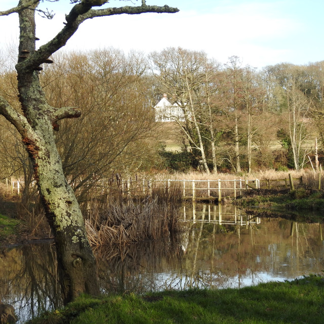 The Shallows, Boldre, Lymington License, download or print for £20.00