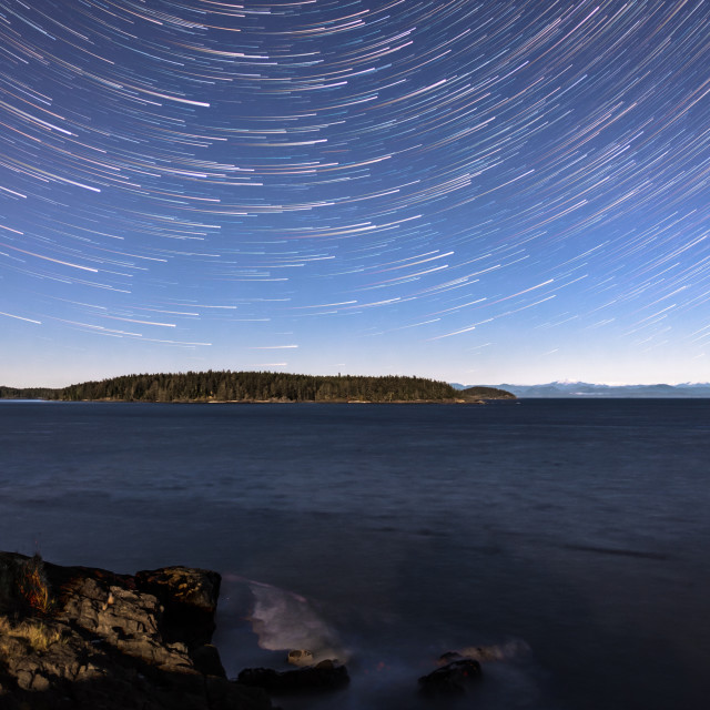 "Moonlit Night" stock image