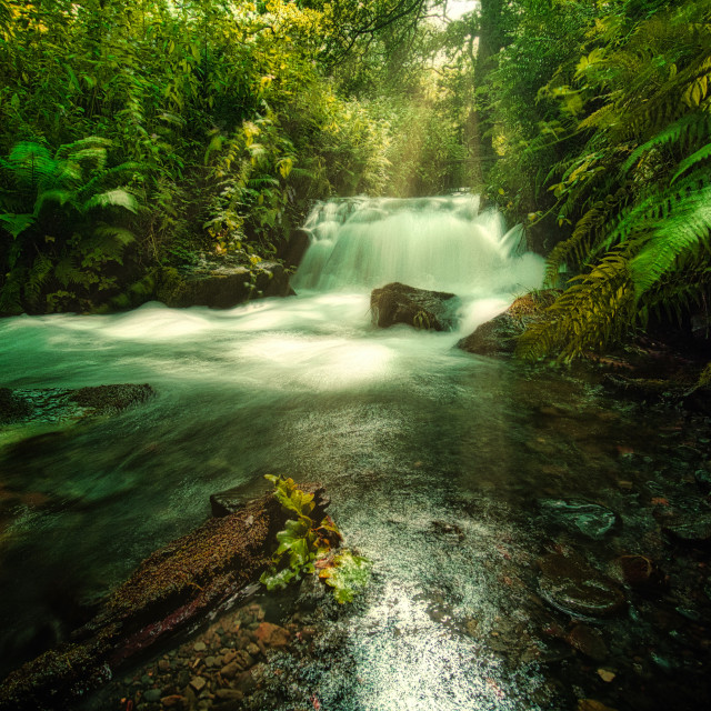 "Green Stream" stock image