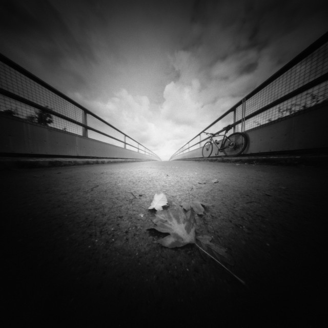 "Leaves on the bridge" stock image