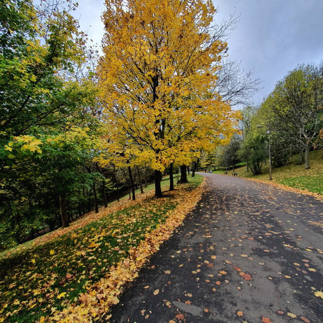 "Autumn in Kelvingrove" stock image